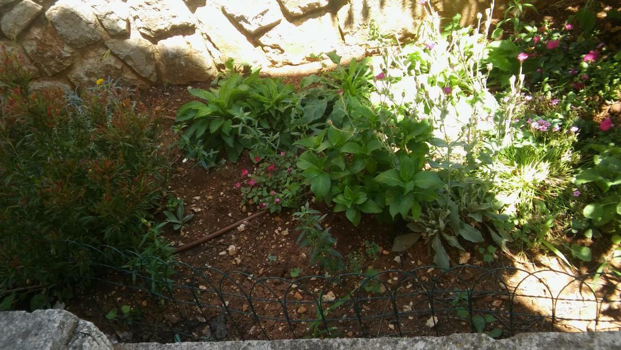 Apartmani Vitkovic II Cres Esterno foto